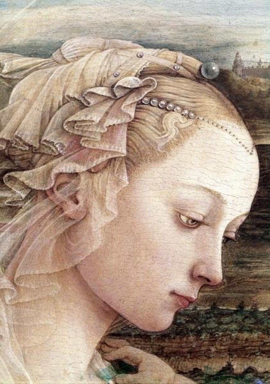 Filippino+Lippi-1457-1504 (133).jpg